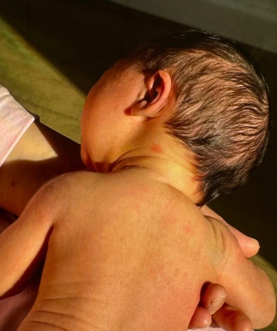 1742802181128763.jpg 1.jpg